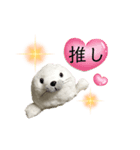 あざらしおうちゃんの推し活（個別スタンプ：1）