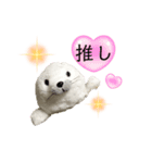 あざらしおうちゃんの推し活（個別スタンプ：3）