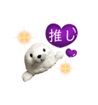 あざらしおうちゃんの推し活（個別スタンプ：4）