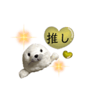 あざらしおうちゃんの推し活（個別スタンプ：5）