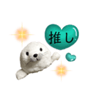 あざらしおうちゃんの推し活（個別スタンプ：6）