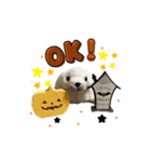 あざらしのおうちゃんハロウィン（個別スタンプ：3）
