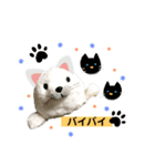 あざらしのおうちゃんハロウィン（個別スタンプ：8）