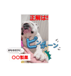 中年女子犬❤️おもちAround 40 dog omochi（個別スタンプ：4）