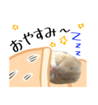 げんきいっぱい！ちくわくん（個別スタンプ：11）