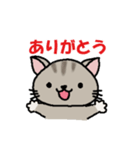 地味ねこ（個別スタンプ：2）