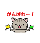 地味ねこ（個別スタンプ：5）