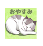 キュートな猫のあいさつ（個別スタンプ：10）