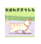 キュートな猫のあいさつ（個別スタンプ：12）