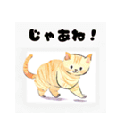 キュートな猫のあいさつ（個別スタンプ：13）