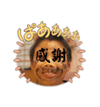サイキョウダイ＋＋6（個別スタンプ：9）