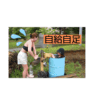 サウナがーるの日常（個別スタンプ：14）