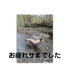 サウナがーるの日常（個別スタンプ：32）