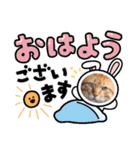 cat/元保護猫スタンプ（個別スタンプ：2）