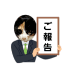 cat/元保護猫スタンプ（個別スタンプ：7）