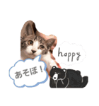 すかい、いや、すぅくん（個別スタンプ：6）