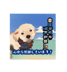 浮世絵風の犬と挨拶 vol.1（個別スタンプ：2）