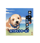 浮世絵風の犬と挨拶 vol.1（個別スタンプ：6）