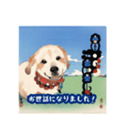 浮世絵風の犬と挨拶 vol.1（個別スタンプ：7）