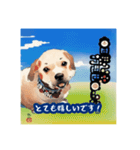 浮世絵風の犬と挨拶 vol.1（個別スタンプ：10）