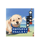 浮世絵風の犬と挨拶 vol.1（個別スタンプ：11）