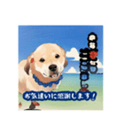 浮世絵風の犬と挨拶 vol.1（個別スタンプ：16）