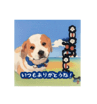 浮世絵風の犬と挨拶 vol.1（個別スタンプ：19）