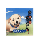 浮世絵風の犬と挨拶 vol.1（個別スタンプ：21）