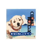 浮世絵風の犬と挨拶 vol.1（個別スタンプ：23）