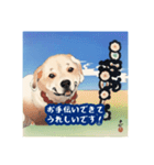 浮世絵風の犬と挨拶 vol.1（個別スタンプ：30）