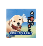 浮世絵風の犬と挨拶 vol.1（個別スタンプ：32）