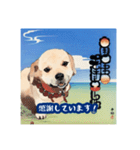 浮世絵風の犬と挨拶 vol.1（個別スタンプ：34）