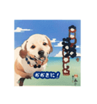 浮世絵風の犬と挨拶 vol.1（個別スタンプ：35）