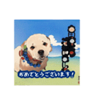 浮世絵風の犬と挨拶 vol.1（個別スタンプ：36）