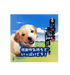 浮世絵風の犬と挨拶 vol.1（個別スタンプ：37）