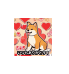 かわいい柴犬スタンプ（かわ柴スタンプ）（個別スタンプ：7）