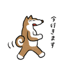 楽しく暮らす犬だよー！（個別スタンプ：15）