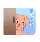 ちびプードルズ1【日常(タメ語)】（個別スタンプ：13）