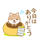 わんこ日和(柴犬)①-toYvu-（個別スタンプ：10）