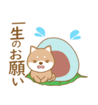 わんこ日和(柴犬)①-toYvu-（個別スタンプ：20）