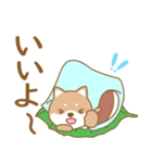 わんこ日和(柴犬)①-toYvu-（個別スタンプ：25）