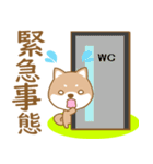 わんこ日和(柴犬)①-toYvu-（個別スタンプ：31）