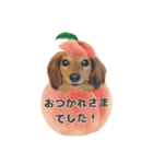 ミニチュアダックスNoaちゃんすたんぷ②（個別スタンプ：3）