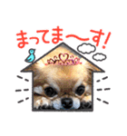 のりまめスタンプ3（個別スタンプ：2）