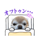 のりまめスタンプ3（個別スタンプ：6）