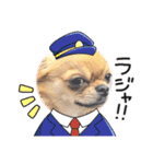のりまめスタンプ3（個別スタンプ：9）