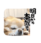 のりまめスタンプ3（個別スタンプ：10）