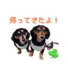 こてつ＆さく④（個別スタンプ：6）