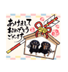 こてつ＆さく④（個別スタンプ：10）