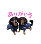 こてつ＆さく④（個別スタンプ：13）